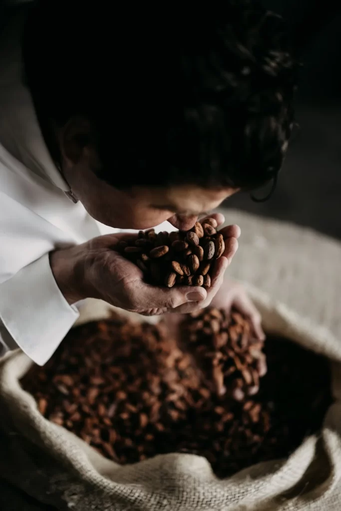 Chocolade als avondeten? Verschillende soorten chocolade voor andere doeleinden dan dessert